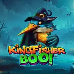 Kingfisher Boo